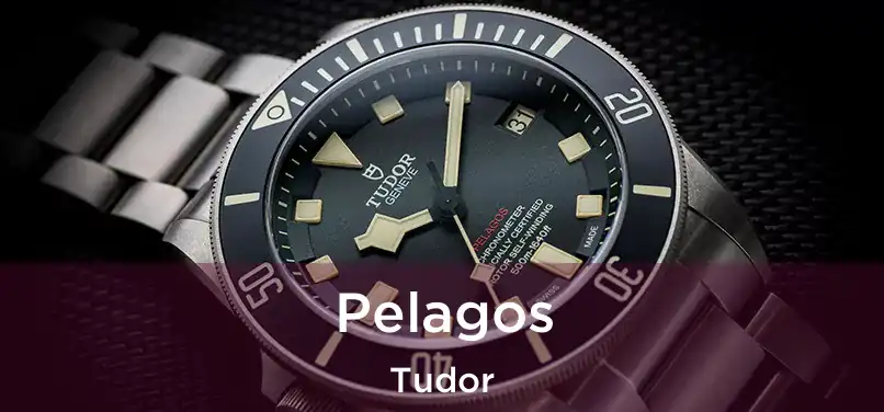 Pelagos Tudor